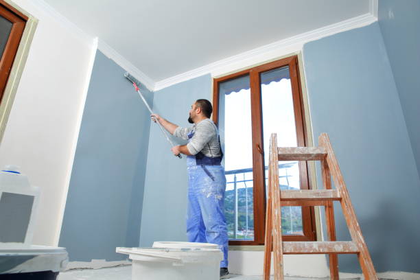 Best Mold Documentation for Insurance Claims  in Wyoming, OH