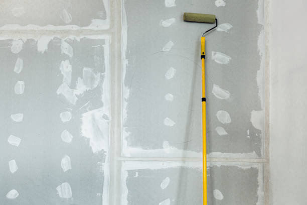 Best Dehumidification Services  in Wyoming, OH