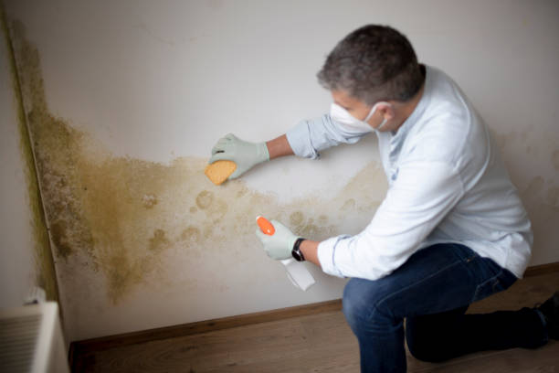 Best Airborne Mold Testing  in Wyoming, OH
