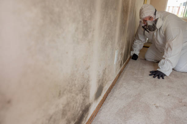 Best Dehumidification Services  in Wyoming, OH