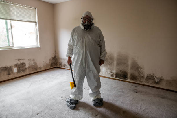 Mold Removal for HVAC Installations